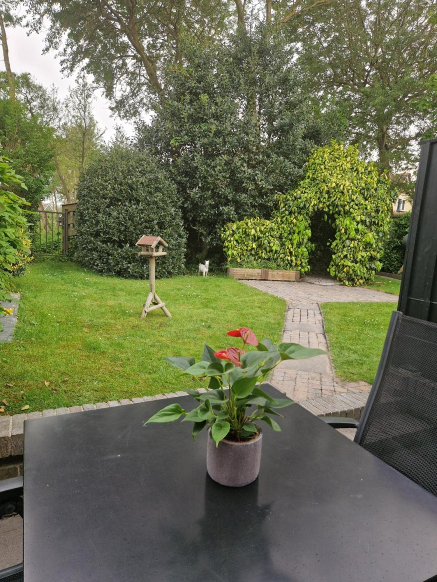 Zeelucht Texel Villa De Koog  Buitenkant foto